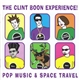 The Clint Boon Experience - The Compact Guide To Pop Music & Space Travel